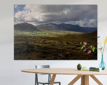 De bergen van Connemara National Park van Bo Scheeringa Photography