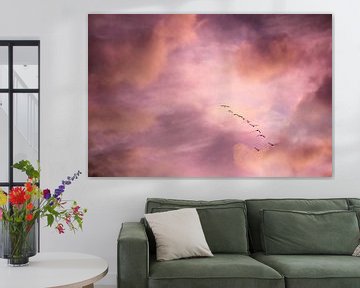 Gulls in the sky by Art by Janine
