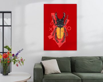 Beetle in Red Background