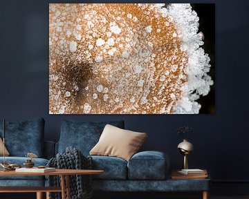 Winterse paddenstoel van Danny Slijfer Natuurfotografie