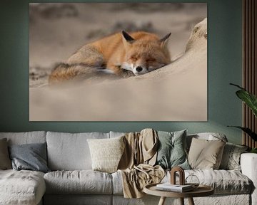 This fox went for a nap. by Tim Link