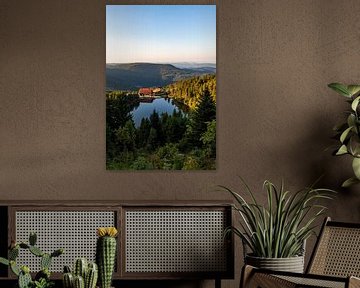 Mummelsee with the mountain hotel in summer - Black Forest by Werner Dieterich