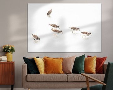 Redshanks on the mudflats by Danny Slijfer Natuurfotografie