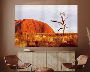 Uluru van Inge Hogenbijl
