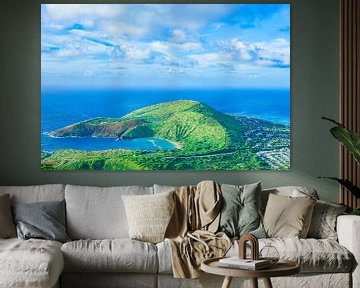 Landschap en oceaan van Hawaï van Barbara Riedel