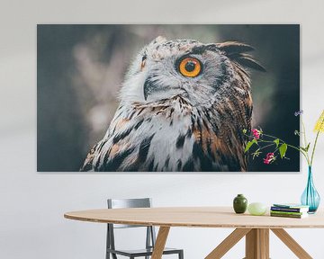 Hibou sur Bjorn Brekelmans