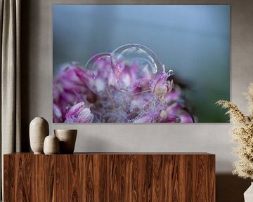 Flower Bubbles in Lilac by Chantal van Tol