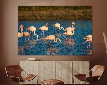 Flamingo's in de Camargue in Frankrijk van Tanja Voigt