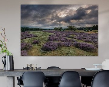 Storm over de heide