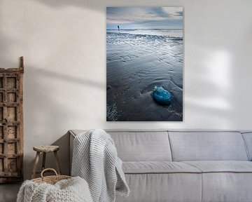 Eine gestrandete Qualle am Strand von Danny Slijfer Natuurfotografie