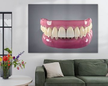 3d Render Denture humaine Illustration sur Animaflora PicsStock