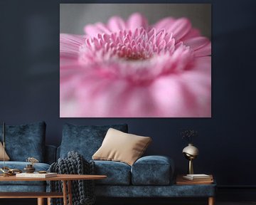 Romantic Pink | Eine verträumte Atmosphäre rund um die Gerbera. Das ergibt einen schönen Effekt. von Wil Vervenne