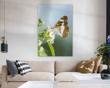 Papillon martin-pêcheur sur Danny Slijfer Natuurfotografie