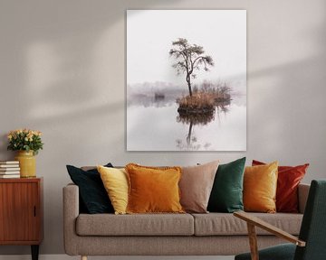 Reflectie van naaldboom in ven in het bos 1 | Landschapsfotografie - Oisterwijkse vennen van Merlijn Arina Photography