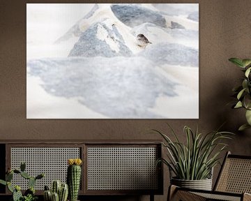 Bécasseau violet pendant la tempête sur Danny Slijfer Natuurfotografie