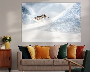 Paarse strandloper tijdens storm van Danny Slijfer Natuurfotografie