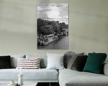 La Seine par Tom Vandenhende