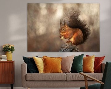 Écureuil avec une noix sur un tronc d'arbre d'hiver sur KB Design & Photography (Karen Brouwer)