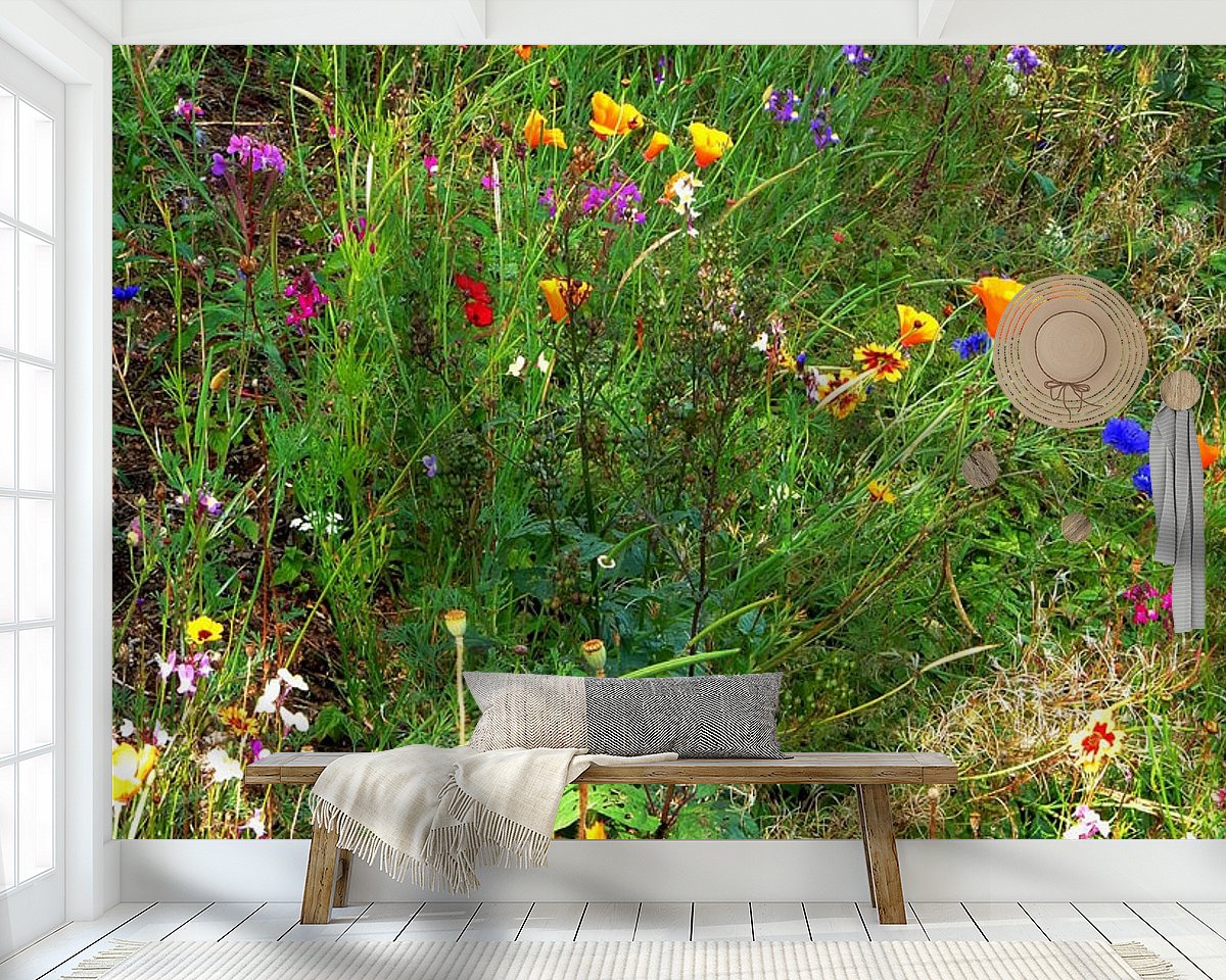 Raumvorschau