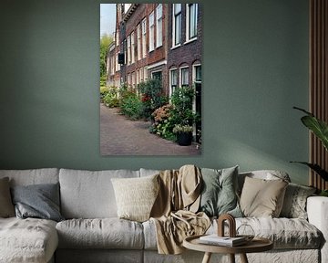 Grachtenpanden in Leiden met bloeiende planten van Carel van der Lippe