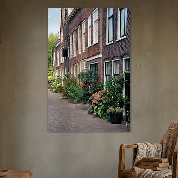 Canal houses in Leiden with flowering plants by Carel van der Lippe