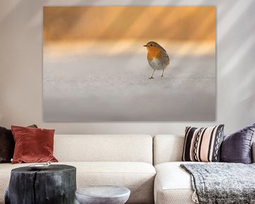 Robin on the ice by KB Design & Photography (Karen Brouwer)