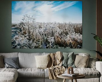 Winter in Holland van Nickie Fotografie