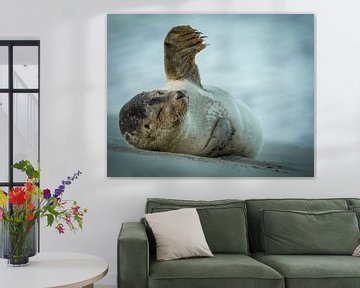 Salut salut, phoque sur la plage de Katwijk sur Dirk van Egmond