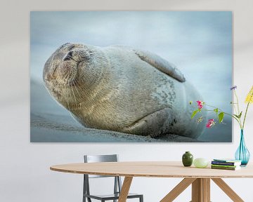 Seal on the beach by Dirk van Egmond
