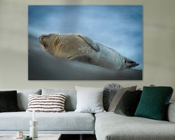 Faulenzen am Strand von Katwijk