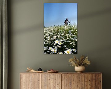 Cycling among the daisies by Ankie Huisintveld