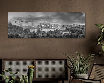 Panorama der Stadt Siena in Italien in schwarzweiss. von Manfred Voss, Schwarz-weiss Fotografie