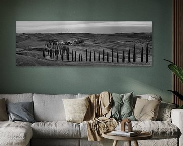 Landschap in Toscane in Italië in zwart-wit. van Manfred Voss, Zwart-Wit Fotografie