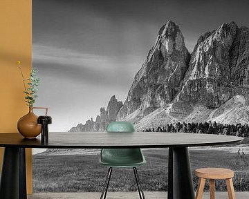 Alpine panorama on a mountain pasture in the Dolomites. Black and white picture.