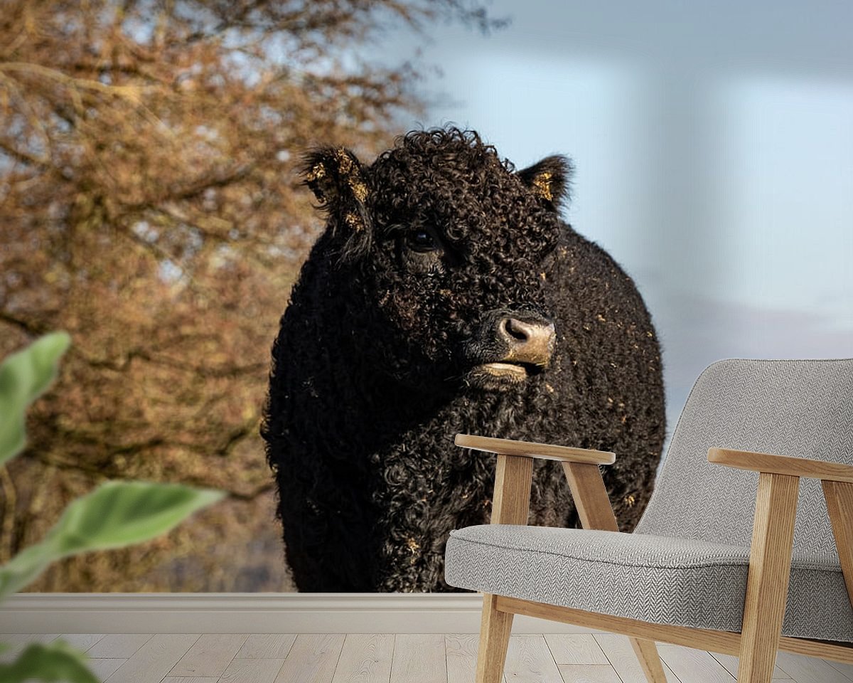 Raumvorschau