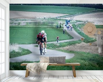 Amstel Gold Race finale van Leon van Bon