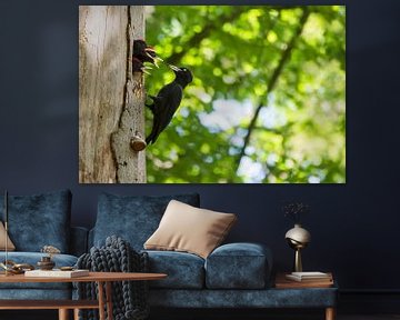 Black woodpecker by Danny Slijfer Natuurfotografie