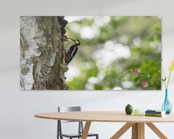 Aperçu de la chambre