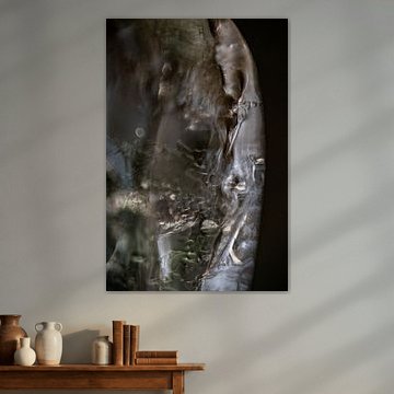 Abstract Photography | Moon | Fine Art