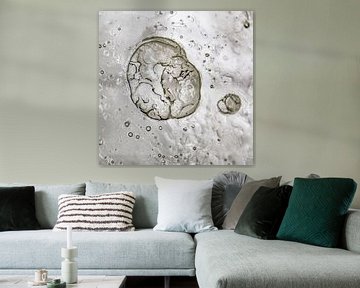 White Abstract | Stardust | Origination | Fine Art