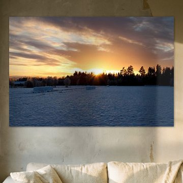 Het is de zon in de winter