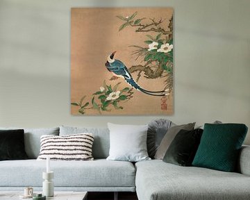 Vogel mit langen Schwanzfedern, Kano Yosetsu
