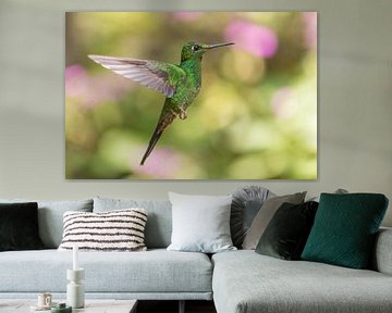 Kolibrie in vlucht. van Tim Link