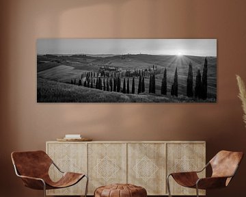 Monochrome Tuscany in 6x17 format, Podere Baccoleno II
