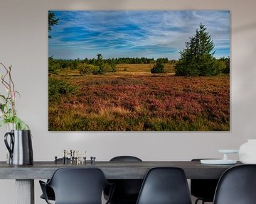 Paysage de landes dans les Vosges sur Tanja Voigt