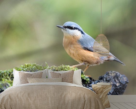 Aperçu de la chambre