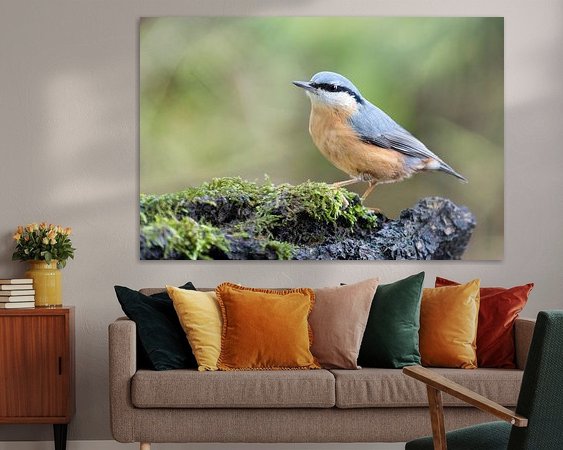 Aperçu de la chambre