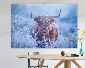 Schotse hooglande op een koude winterochtend. van Corné Ouwehand