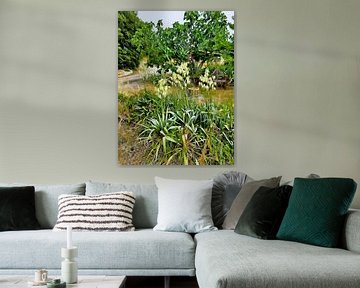 Bloemenpluimen in de vroege zomer in Umbrië van Dorothy Berry-Lound