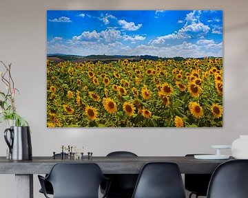 Champ de tournesols sur Leo van Valkenburg